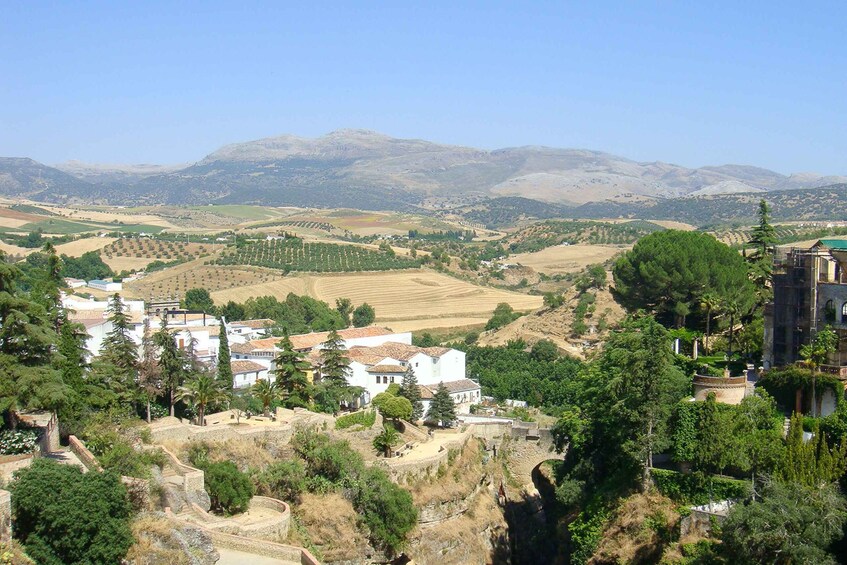 Picture 21 for Activity From Costa del Sol: Private Ronda Tour