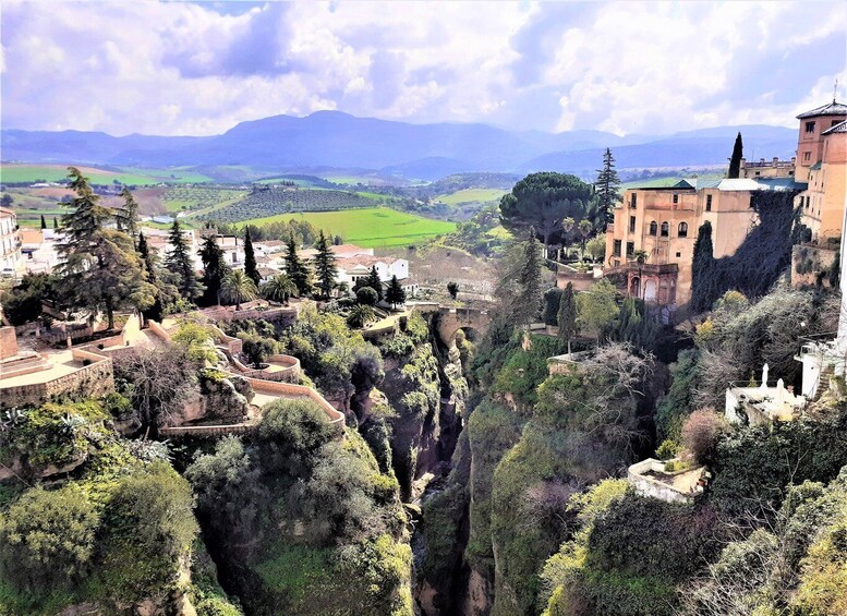 From Costa del Sol: Private Ronda Tour