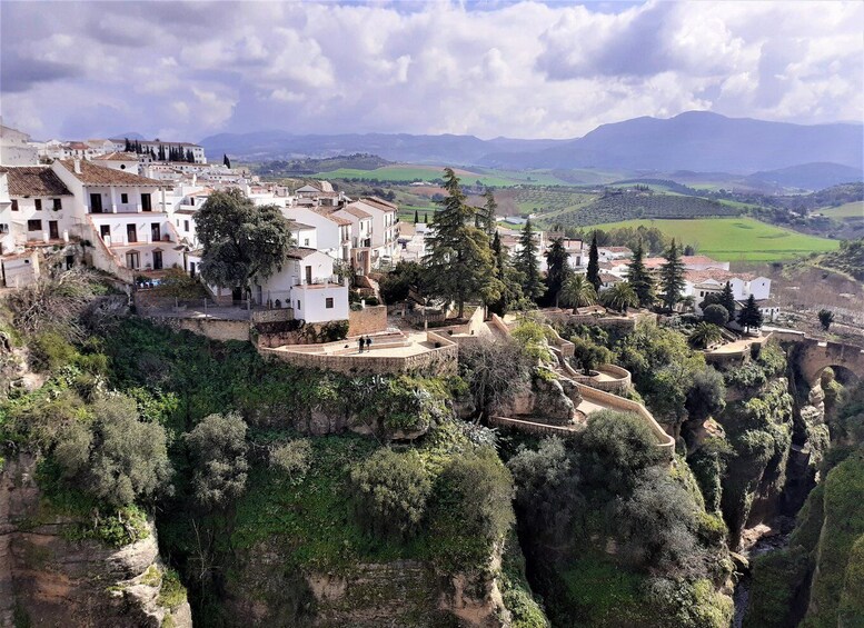 Picture 2 for Activity From Costa del Sol: Private Ronda Tour