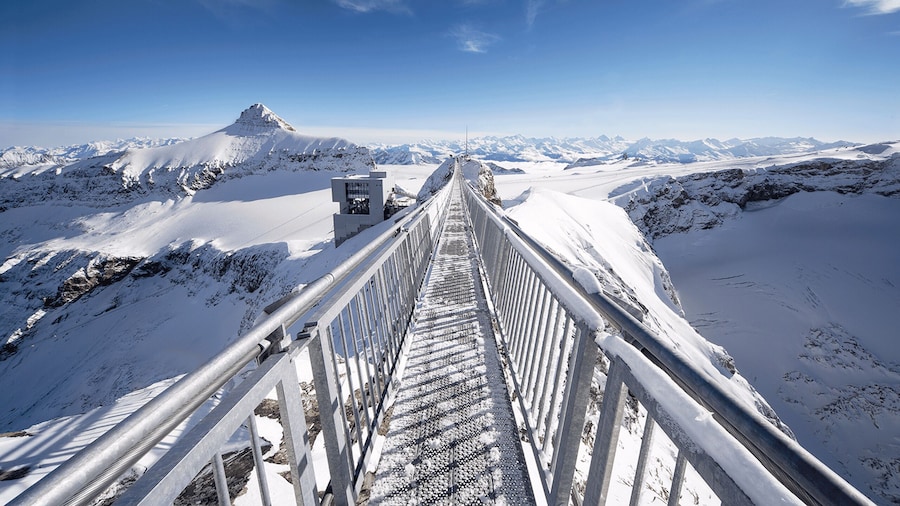 Glacier 3000: Cable Car Ticket