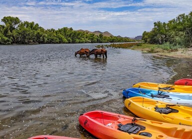 Phoenix y Mesa: Excursión en kayak a Granite Reef