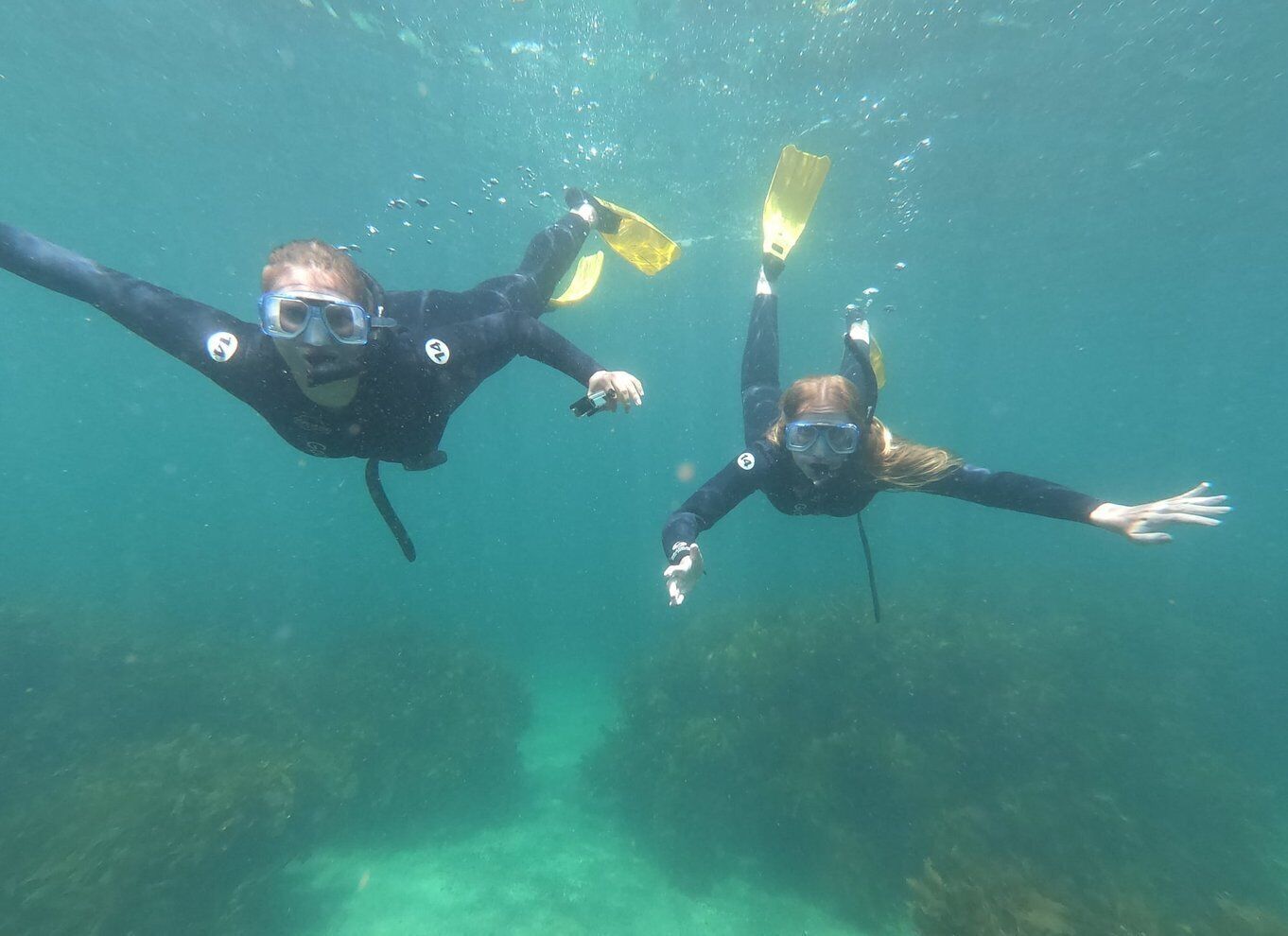 Goat Island Guided Snorkelling Tour For Advanced