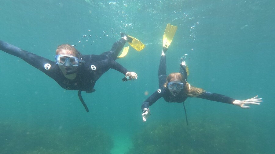 Goat Island Guided Snorkelling Tour For Advanced