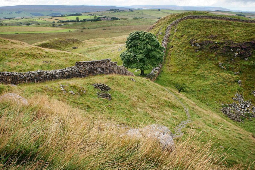 Picture 4 for Activity Hexham: Hadrian's Wall and The Romans Full Day Guided Tour