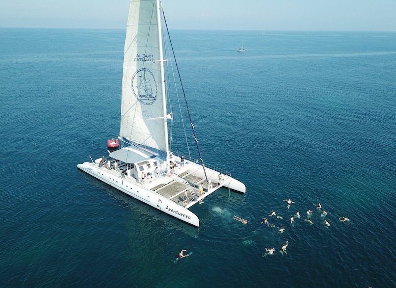 Picture 6 for Activity Alicante: 6-Hour Catamaran Cruise to Tabarca Island