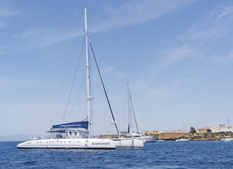 Picture 4 for Activity Alicante: 6-Hour Catamaran Cruise to Tabarca Island