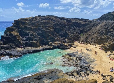 Oahu: North Shore Experience und Dole Plantation