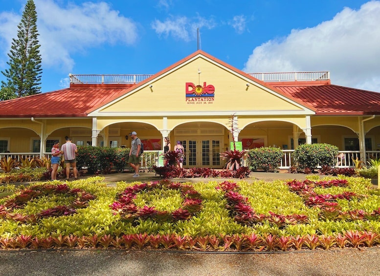 Picture 15 for Activity Oahu: North Shore Experience and Dole Plantation