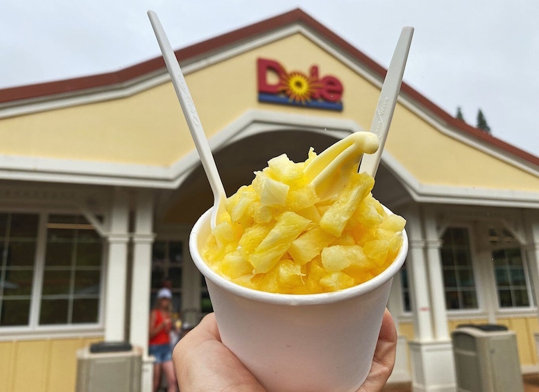 Picture 5 for Activity Oahu: North Shore Experience and Dole Plantation