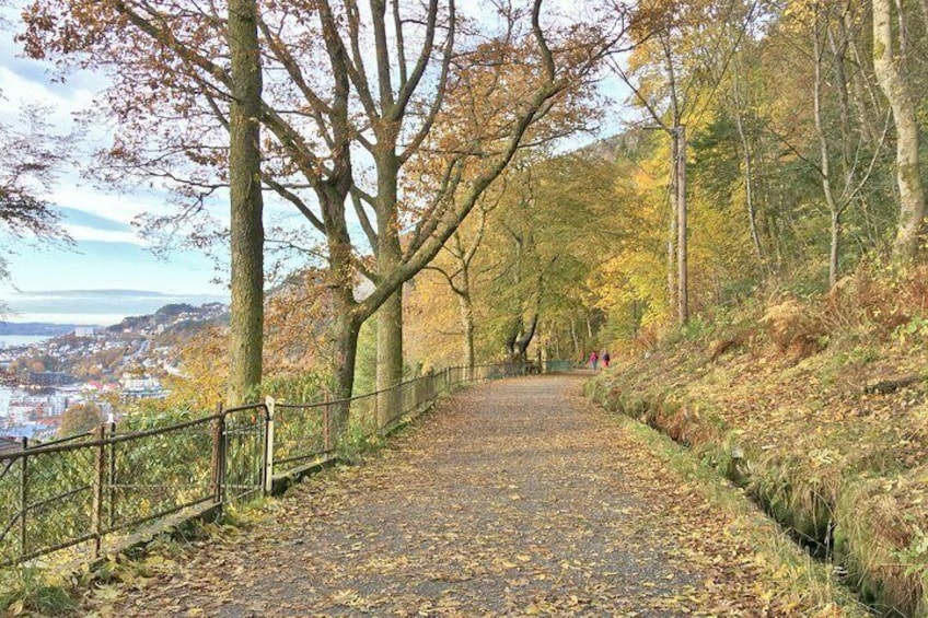 An easy walk on the way to Stoltzekleiven path.