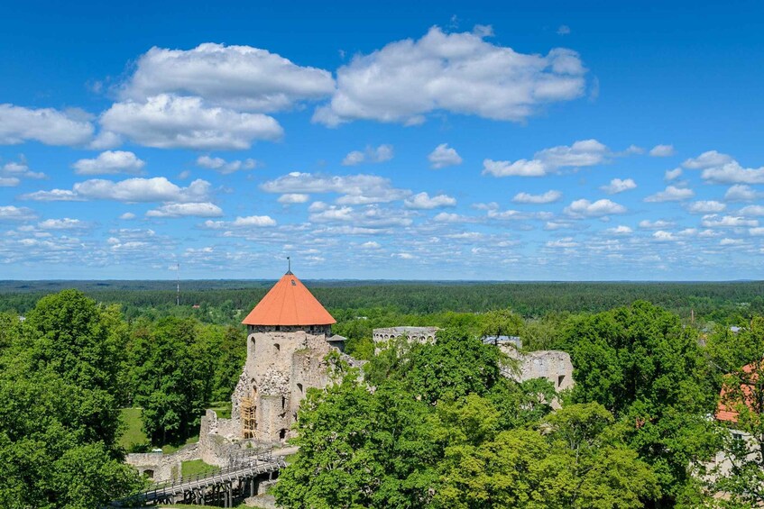 Picture 12 for Activity From Riga: Cēsis, Sigulda & Turaida Castle Tour