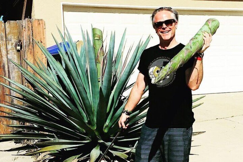 Private Tour La Fortaleza Distillery and visit to Tequila