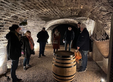 Tour privato delle cantine locali e degustazione di vini della Côte de Beau...