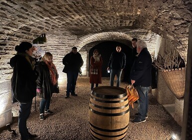 Tour privato delle cantine locali e degustazione di vini della Côte de Beau...