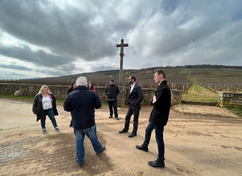 Picture 8 for Activity Côte de Beaune Private Local Wineries and Wine Tasting Tour