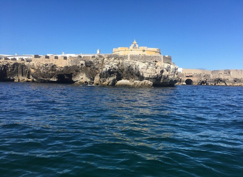 Picture 14 for Activity From Peniche: 1-Hour Cabo Carvoeiro Boat Tour