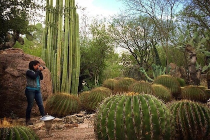 Tour of Magical Towns of Querétaro, starting from Querétaro