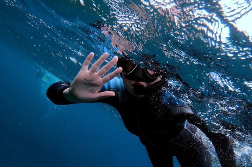 Snorkeling in Vila Franca do Campo