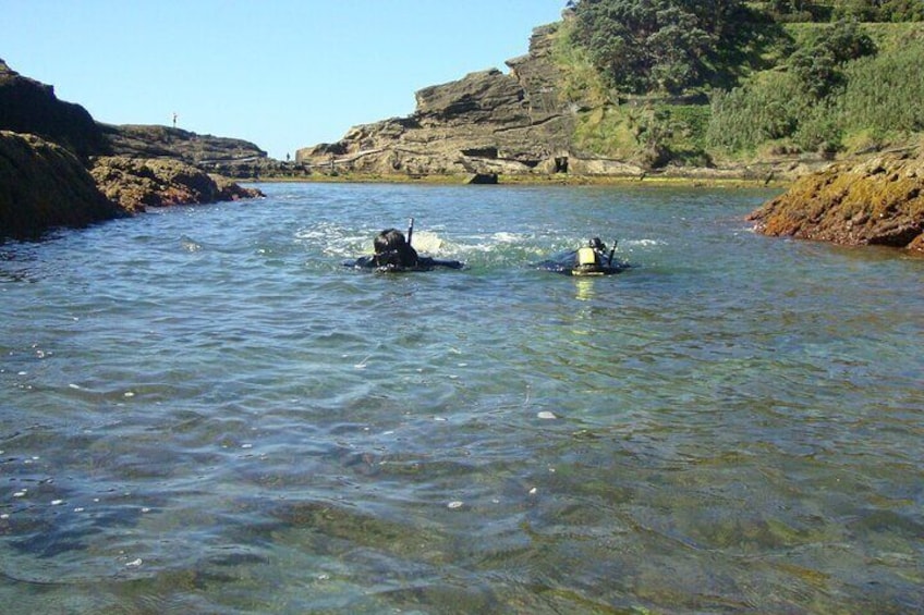 Snorkeling in Vila Franca do Campo