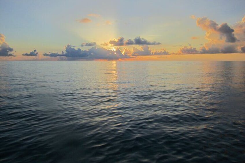 Catamaran Sunset Sail