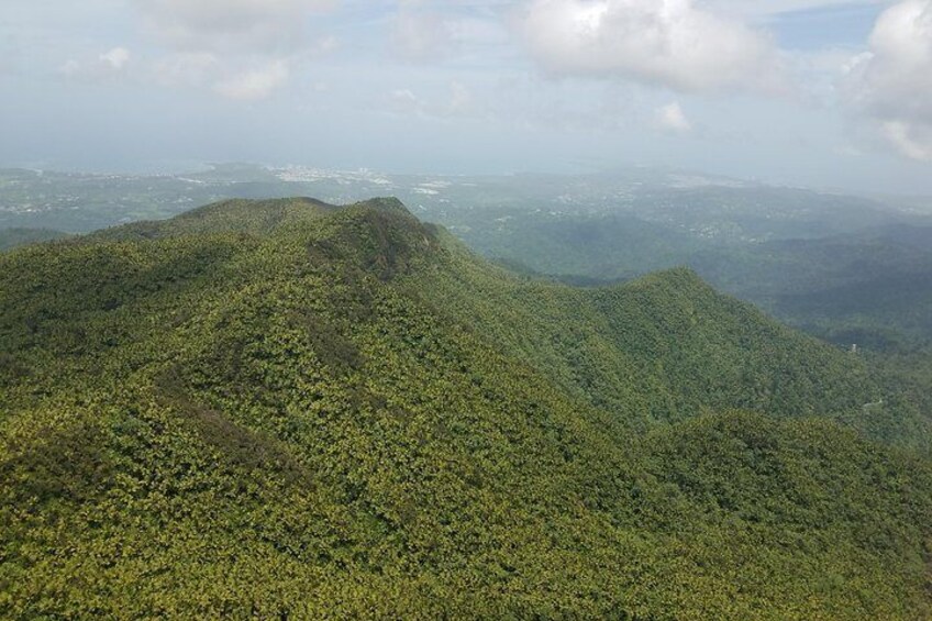 El Yunque Rainforest Full Day Private Tour