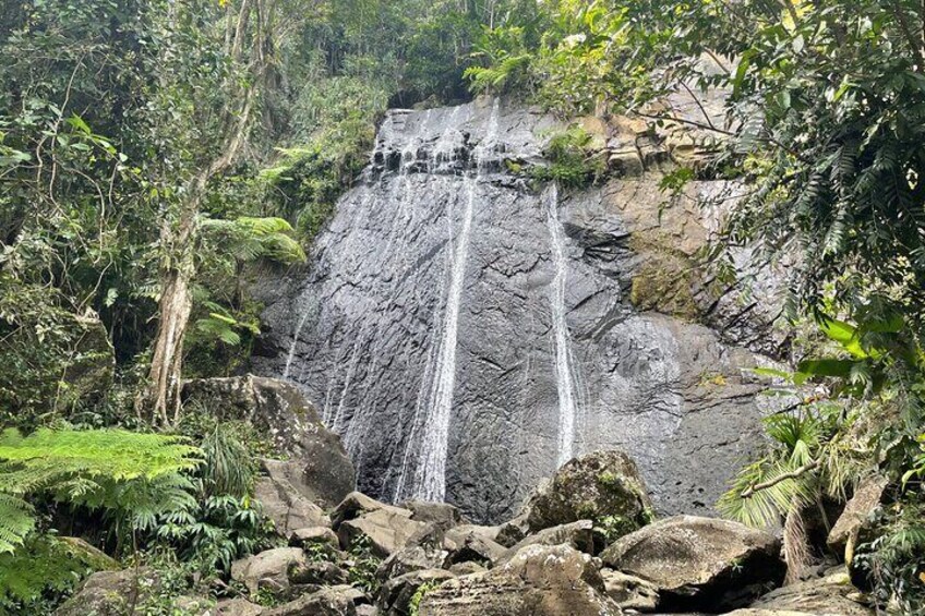 El Yunque Rainforest Full Day Private Tour