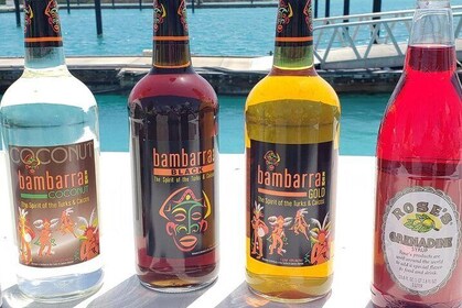 Rum and Beer Tasting Tour ( Private ) w / Lunch & Snacks Included