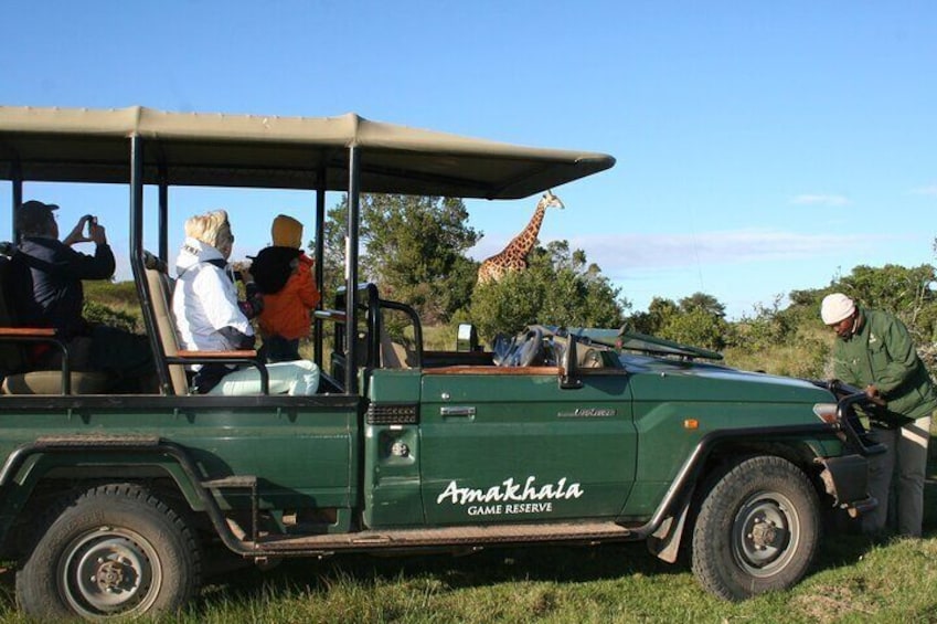 6 Days Big 7 Safari Experience at Amakhala & Addo
