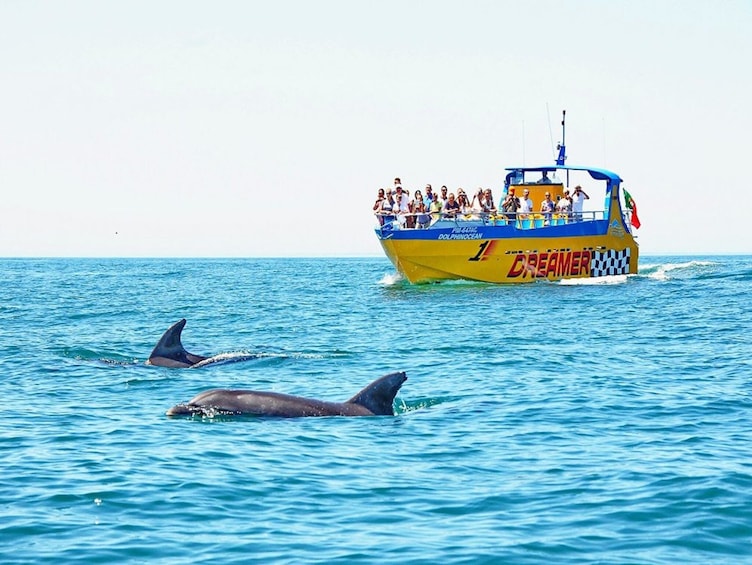 Dreamer Cave and Dolphins Boat Tour from Albufeira