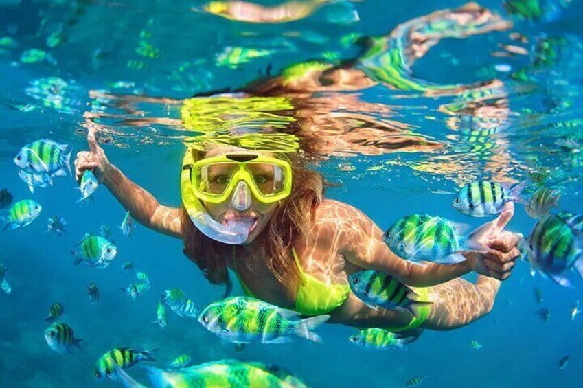 SNORKEL IN 3 DIFFERENT ECOSYSTEMS