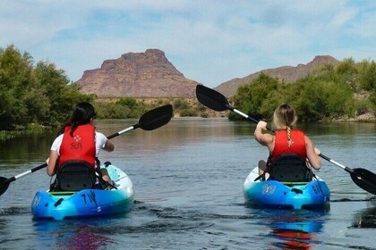 Kayaking Red Mountain Paddle on the Lower Salt River