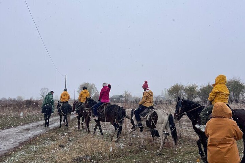 Winter horse riding 