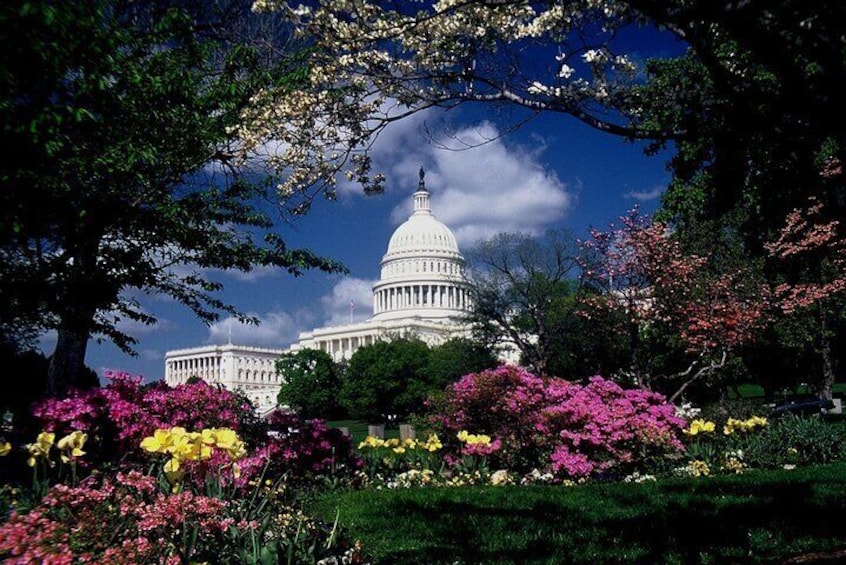 Capitol Hill Tour with US Capitol & Library of Congress Admission