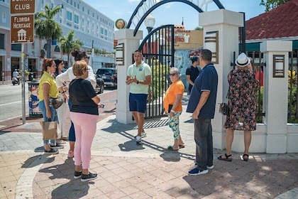 Visites de Miami et visite en bateau à rames Millionaire