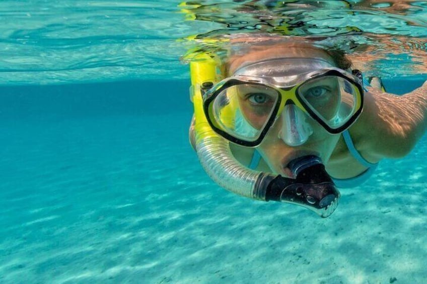 Snorkel Fort Lauderdale Jean Cousteaus Reef and Snorkel Trail