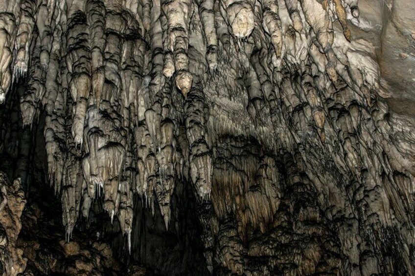 2 Day Trip in Western Serbia Tara and Uvac