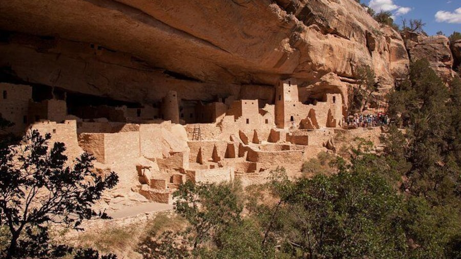 Cliff Palace - Mesa Verde's Largest Site