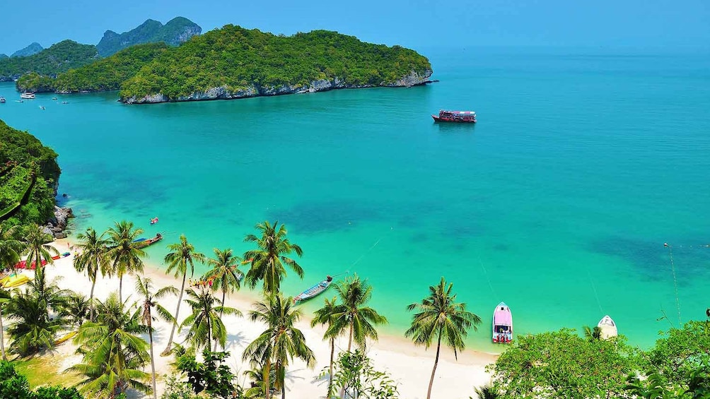White sand beach and palm trees on Samui Island