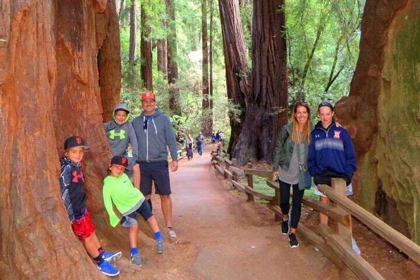 Muir Woods and California Wine Country 8 Hour Private Tour 
