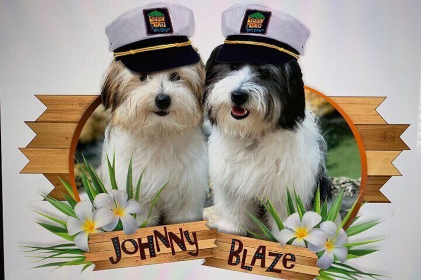 Our dogs and names of our two boats!