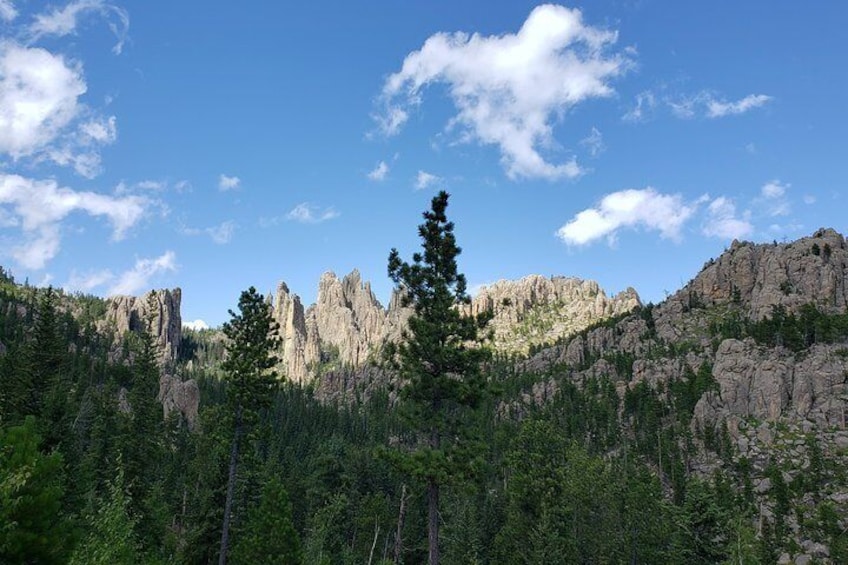 The Needles (granite spires) in Custer State Park