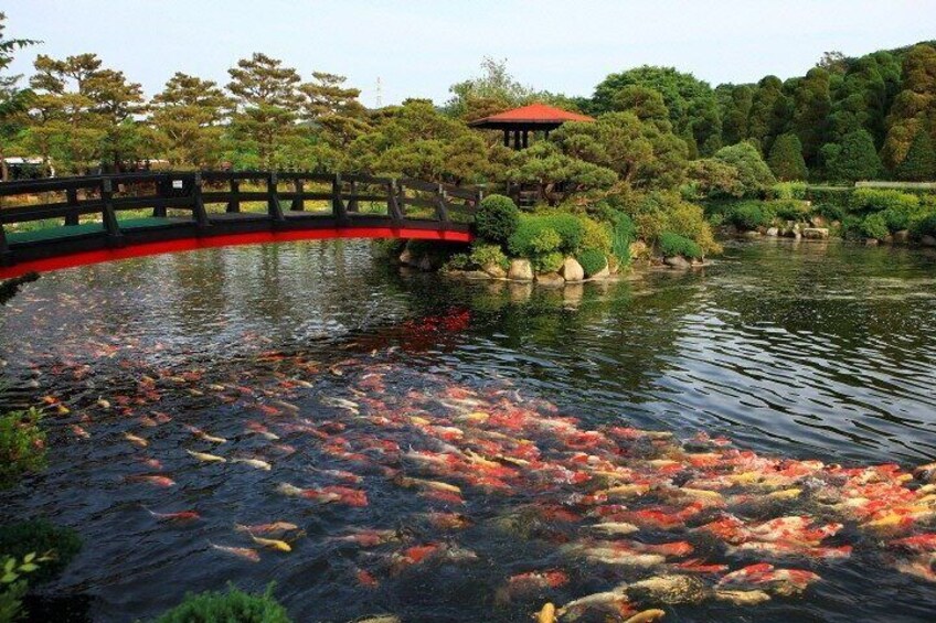 Beartree Park with Admission Ticket to Arboretum in Sejong