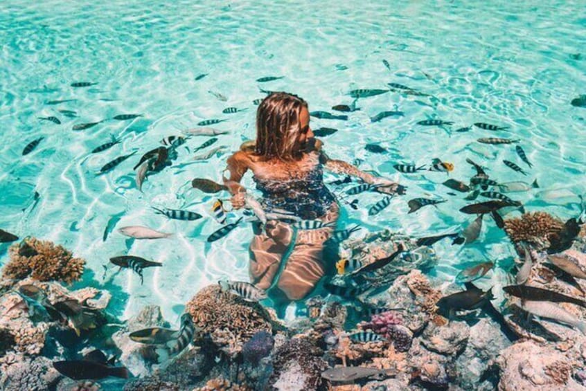 Beautiful coral garden