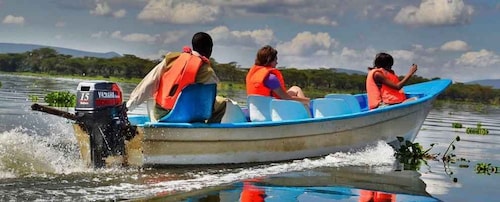 Desde Nairobi: Excursión de un día a Hells gate y el lago Naivasha