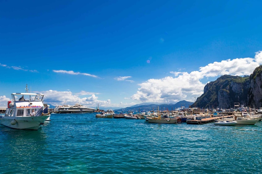 Picture 1 for Activity From Pompeii/Castellammare/Vico Equense: Capri Day Cruise