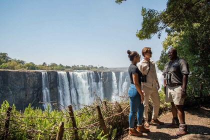 Visite guidée des chutes Victoria - Photographie panoramique excursion