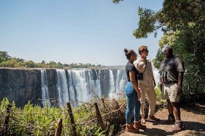 Rondleiding door de Victoria Watervallen - panoramische fototour