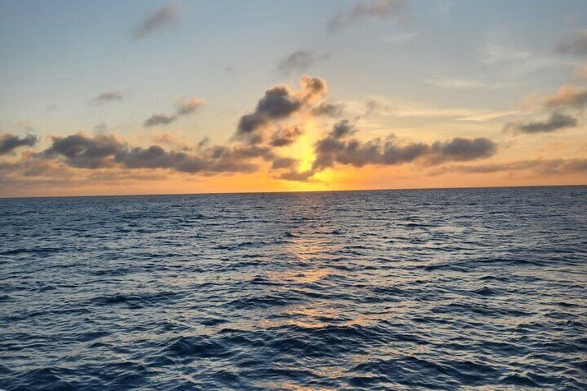 Jolly Roger Reef Fishing