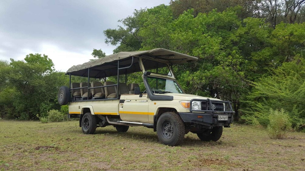 Picture 1 for Activity Safari : Big 5 - Hwange National Park Safari Day Tour