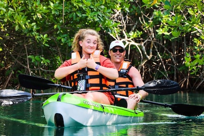 Cancún: aventura matutina en kayak